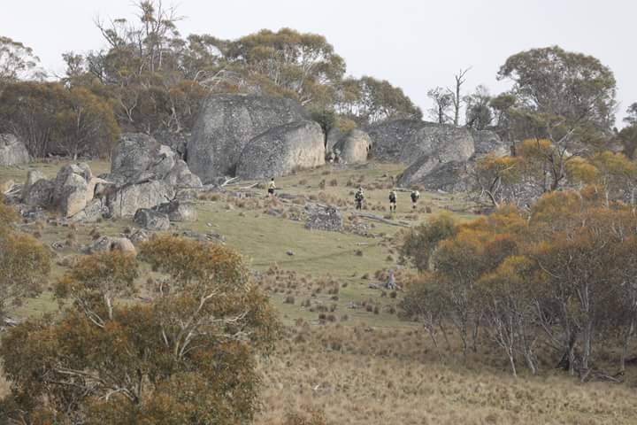 22228291_350366795410697_6501543511732824115_n-2