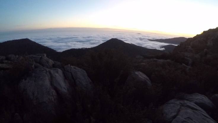 22254852_350579738722736_4619511006737087370_o