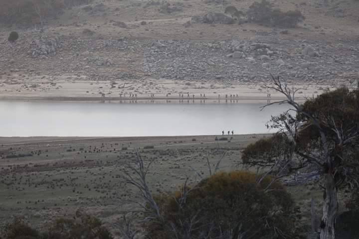 22281872_350366812077362_7769259554616041234_n-2