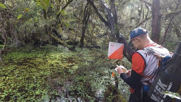 28619203_412711052509604_7606373107364348381_o