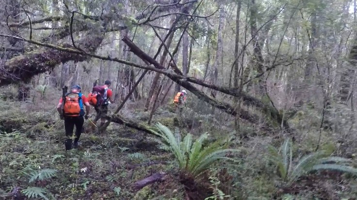 28827222_412710689176307_2196627743202728308_o